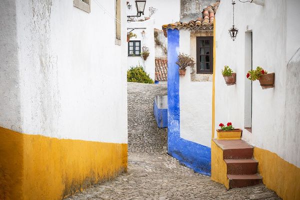 Jaynes Gallery 아티스트의 Europe-Portugal-Obidos-Houses on cobblestone street작품입니다.
